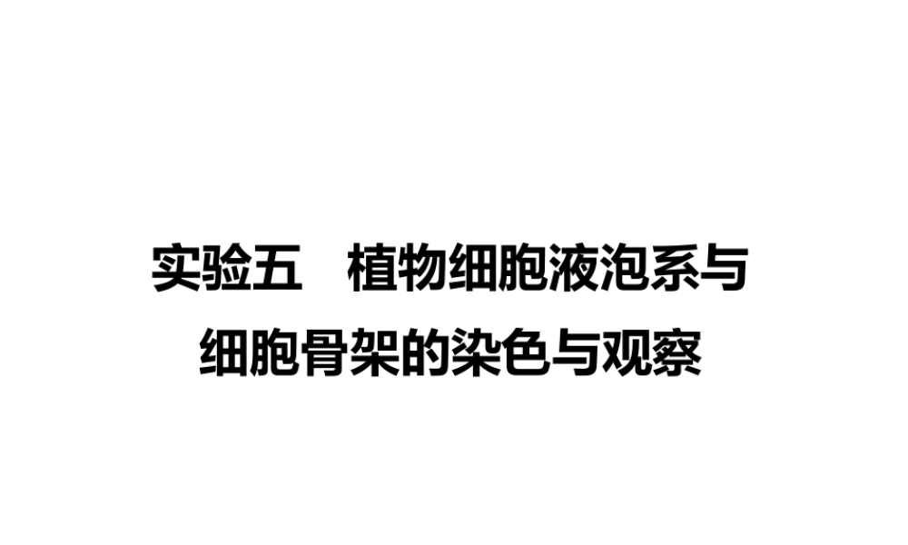 试验五植物细胞液泡系与细胞骨架的观察.ppt