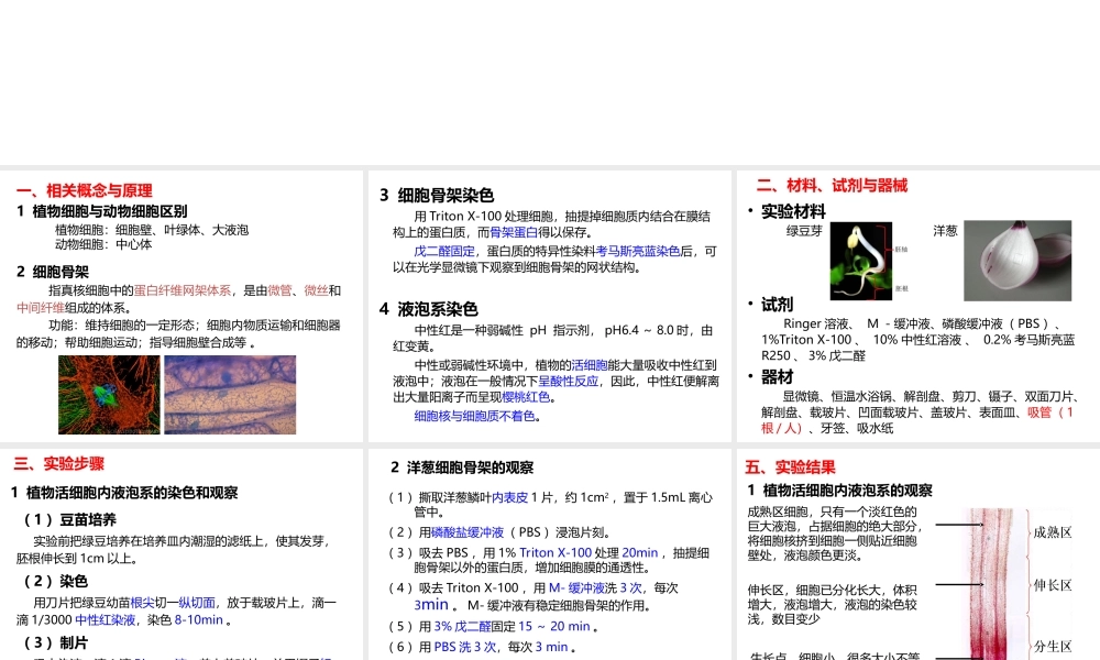 试验五植物细胞液泡系与细胞骨架的观察.ppt