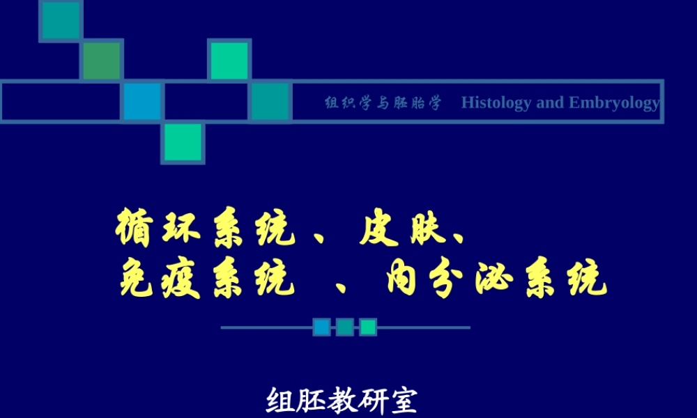 试验三--皮肤、循环系统、免疫系统和内分泌系统.ppt