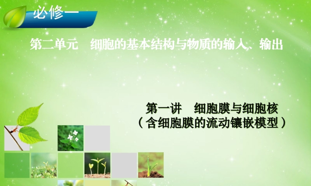 输出细胞膜与细胞核.ppt