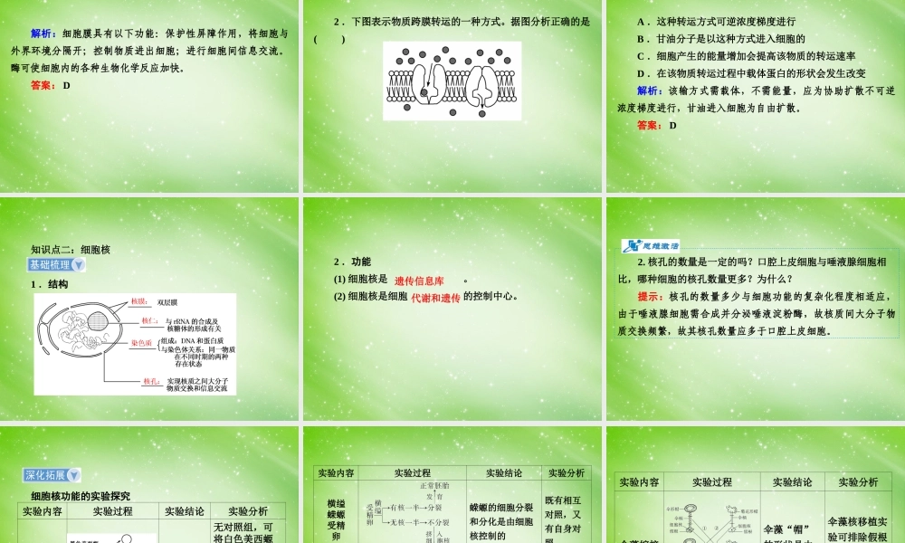 输出细胞膜与细胞核.ppt