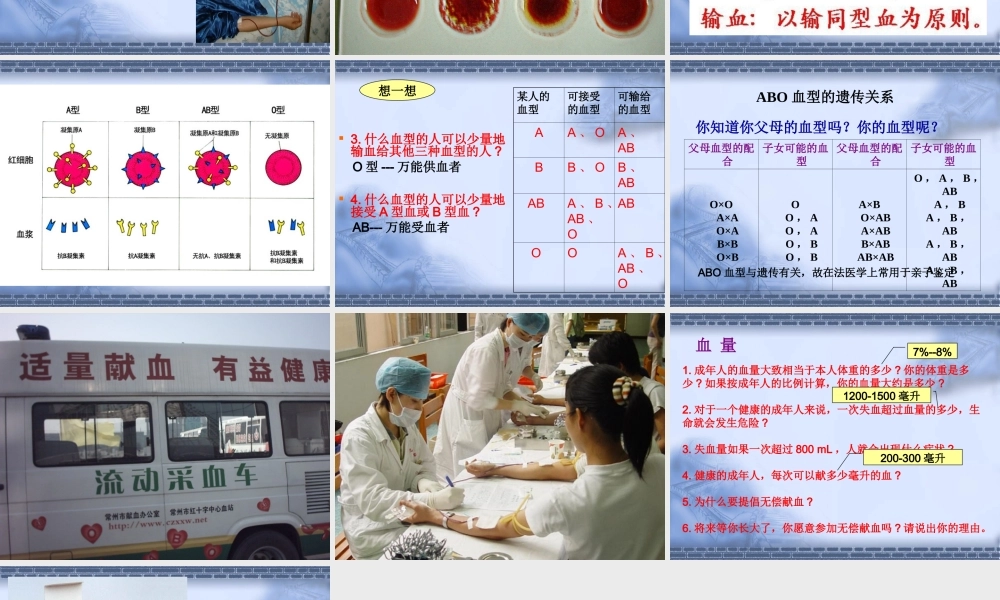 输血与血型.ppt