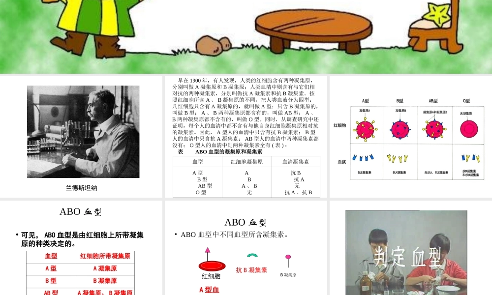 输血与血型-ppt.ppt