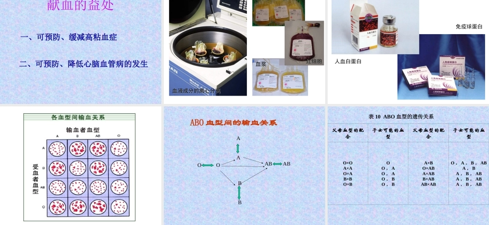 输血与血型-ppt.ppt