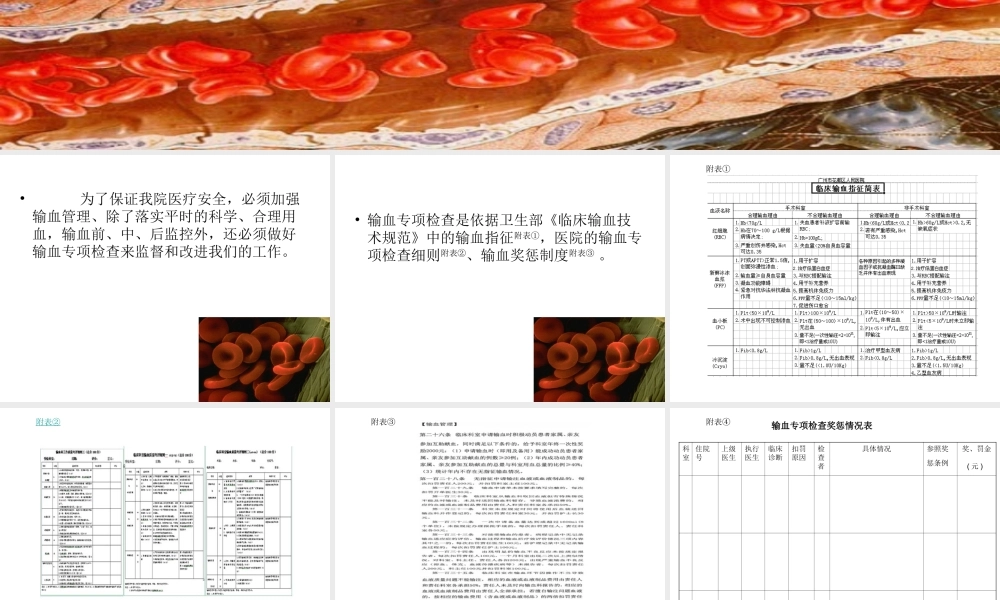 输血专项检查.ppt