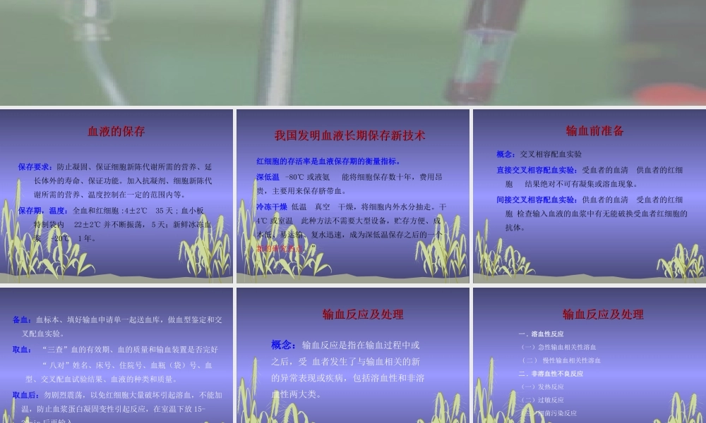 输血及输血反应.ppt