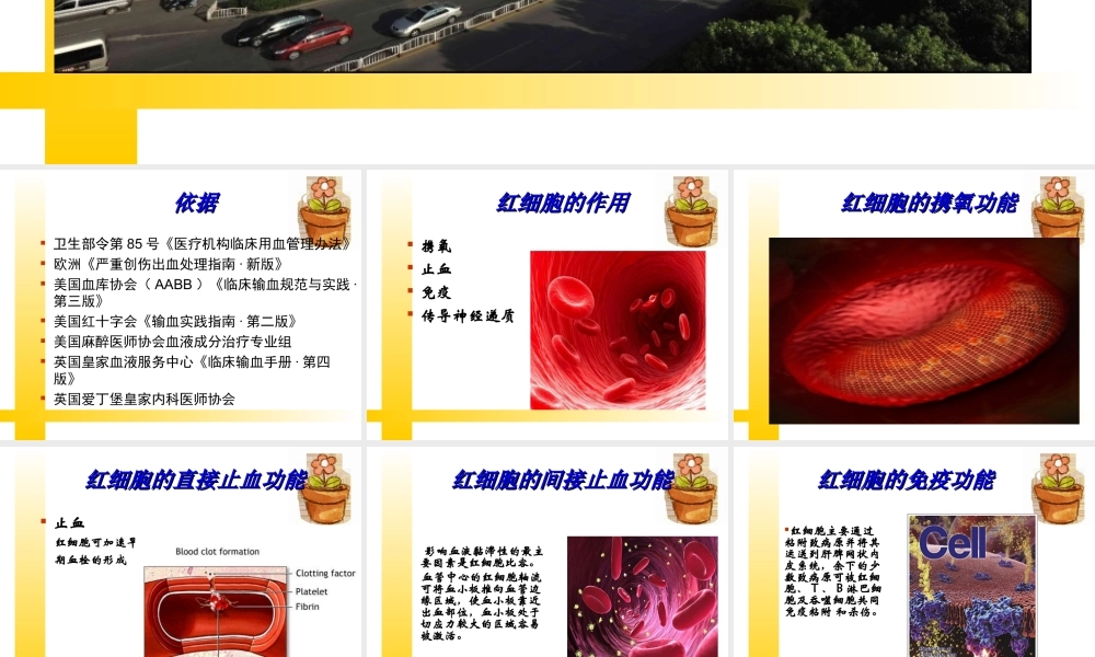 输血指南及评审要求.ppt