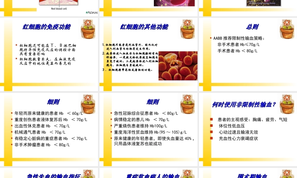 输血指南及评审要求.ppt
