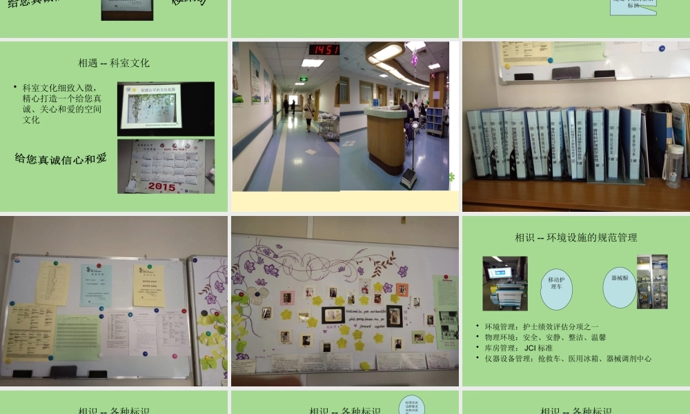 邵逸夫医院进修感想.pptx