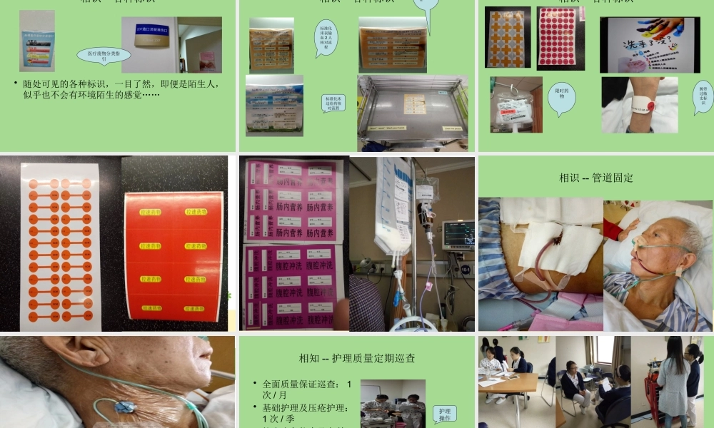 邵逸夫医院进修感想.pptx