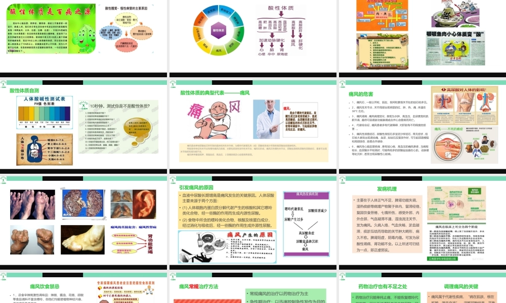 酸的痛--痛风常识与药食同源调理.pptx