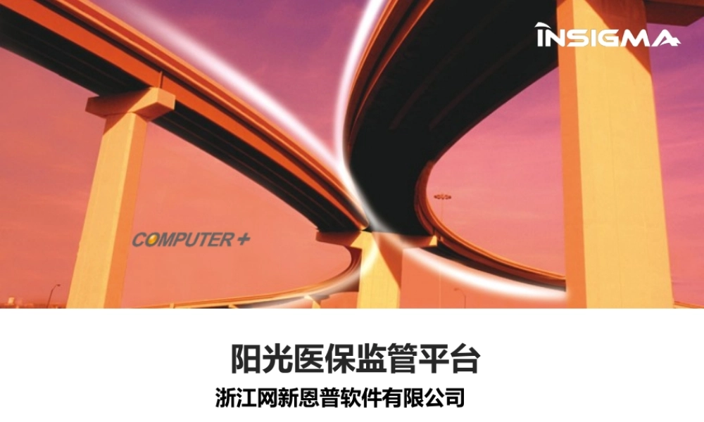 阳光医保监管平台交流.pptx