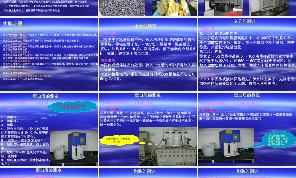 食品中营养成分的综合分析..ppt