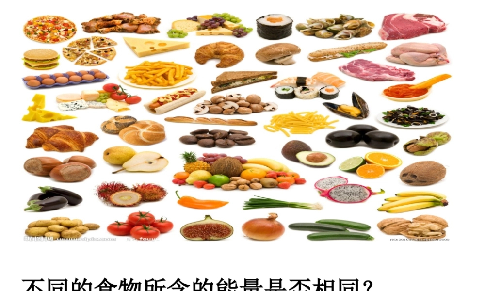 食物与营养.ppt