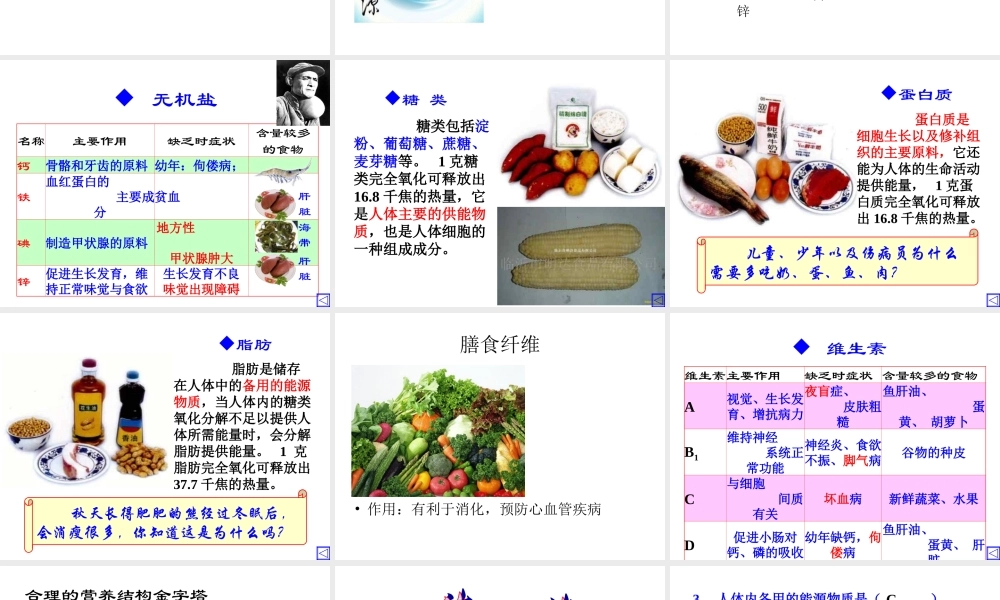 食物与营养.ppt