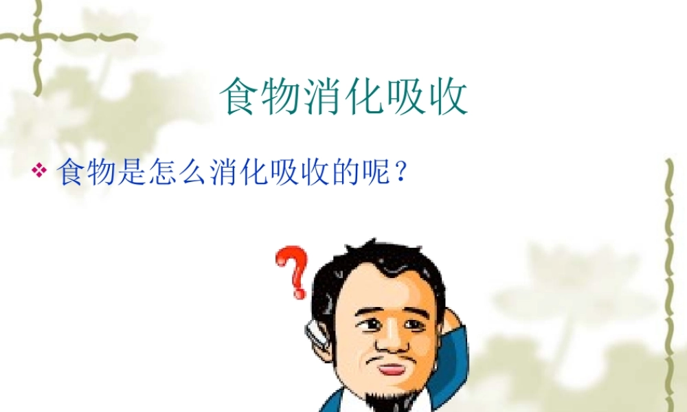 食物的消化吸收和人体特点.ppt