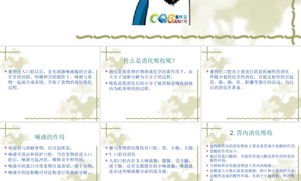 食物的消化吸收和人体特点.ppt