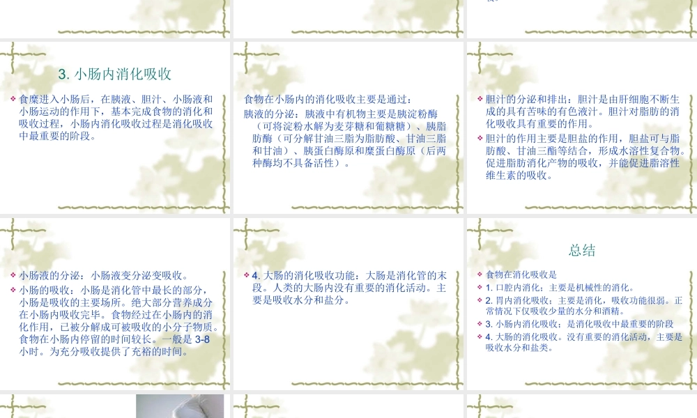 食物的消化吸收和人体特点.ppt