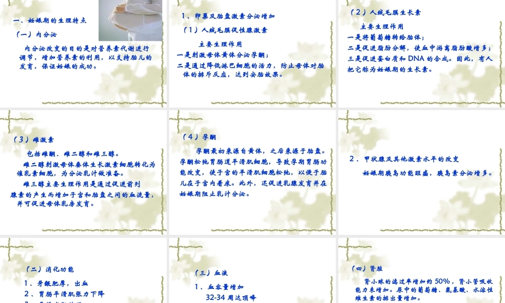 食物的消化吸收和人体特点.ppt
