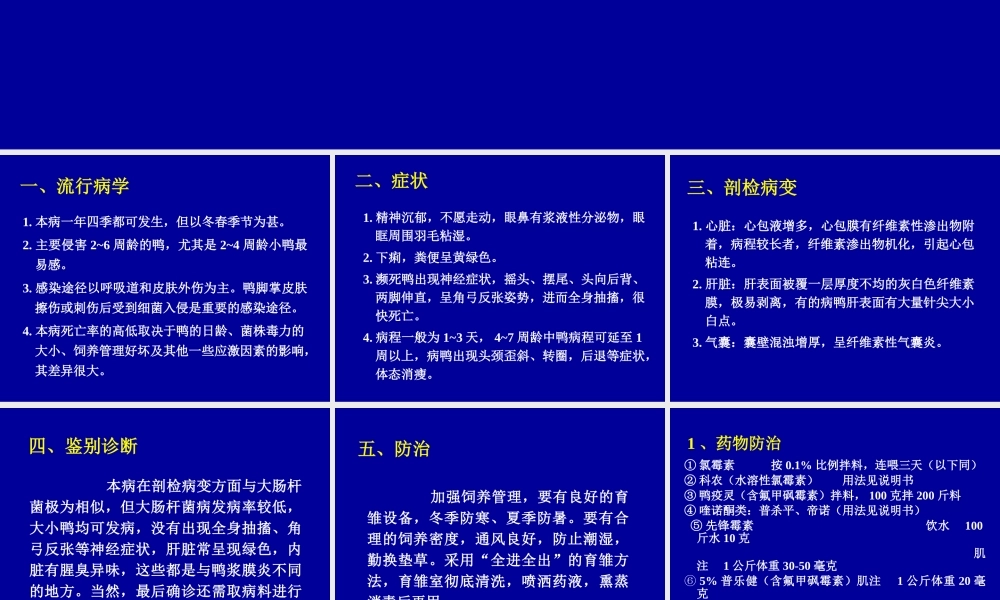 鸭疫里默氏杆菌病.ppt