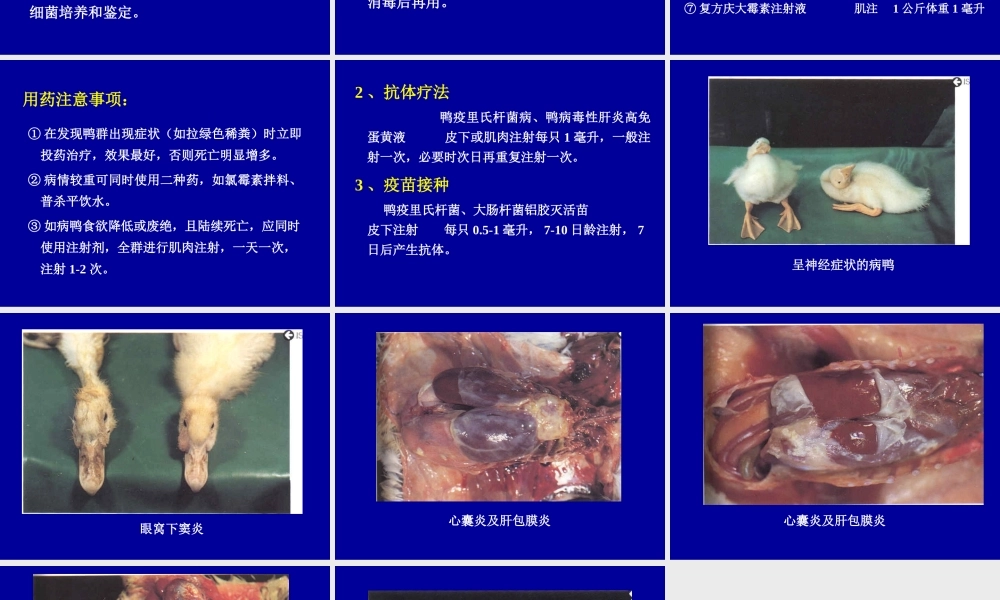 鸭疫里默氏杆菌病.ppt