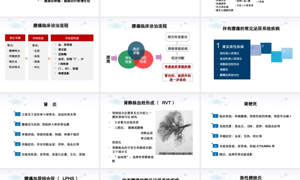 腰痛的诊治思维.ppt