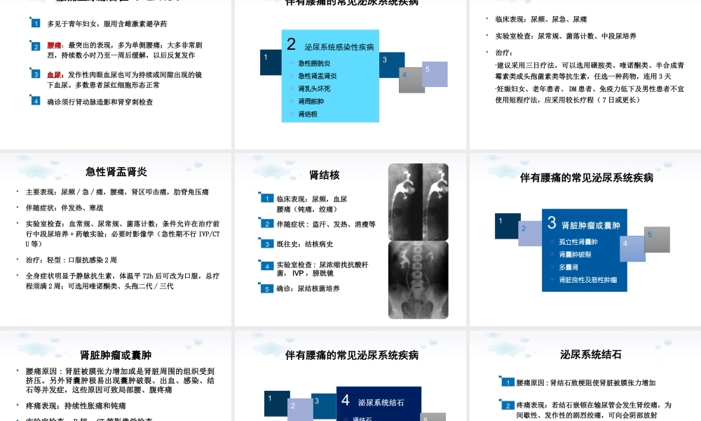 腰痛的诊治思维.ppt