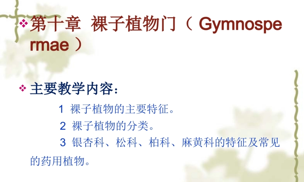 药用植物学-第10章-裸子植物门.ppt