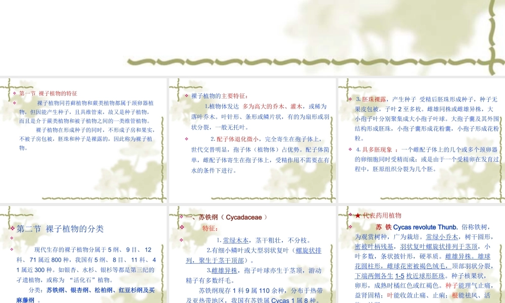 药用植物学-第10章-裸子植物门.ppt