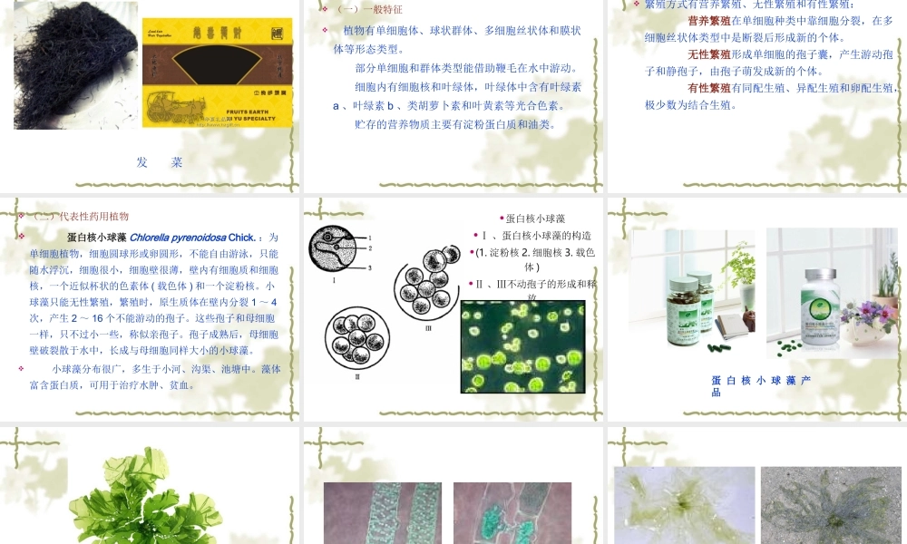 药用植物学-第5章--藻类植物.ppt