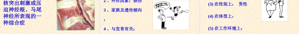腰腿痛(本).ppt