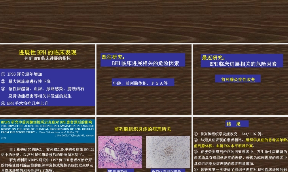 舍尼通-组织学炎症.ppt