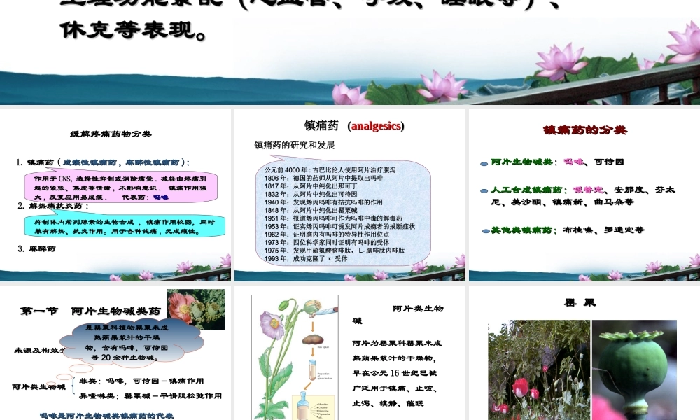 药理第讲-镇痛药.ppt