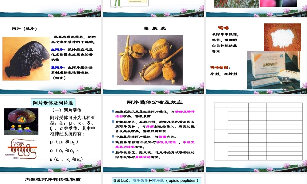药理第讲-镇痛药.ppt