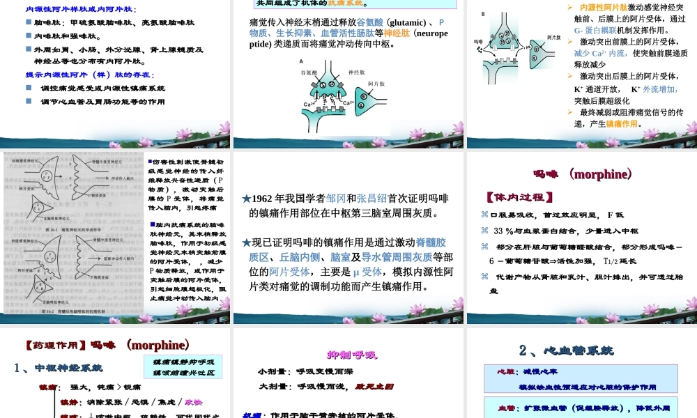 药理第讲-镇痛药.ppt