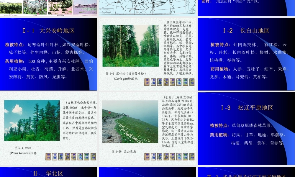 药用植物资源研究(一).ppt