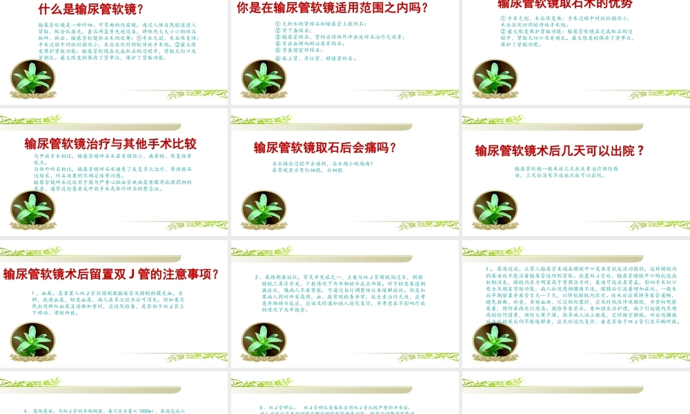 输尿管软镜健康宣教.ppt