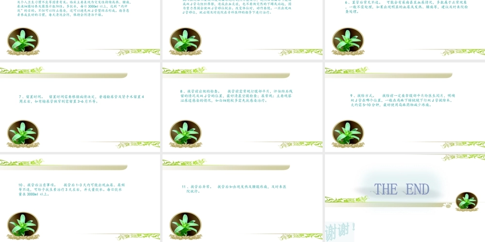 输尿管软镜健康宣教.ppt