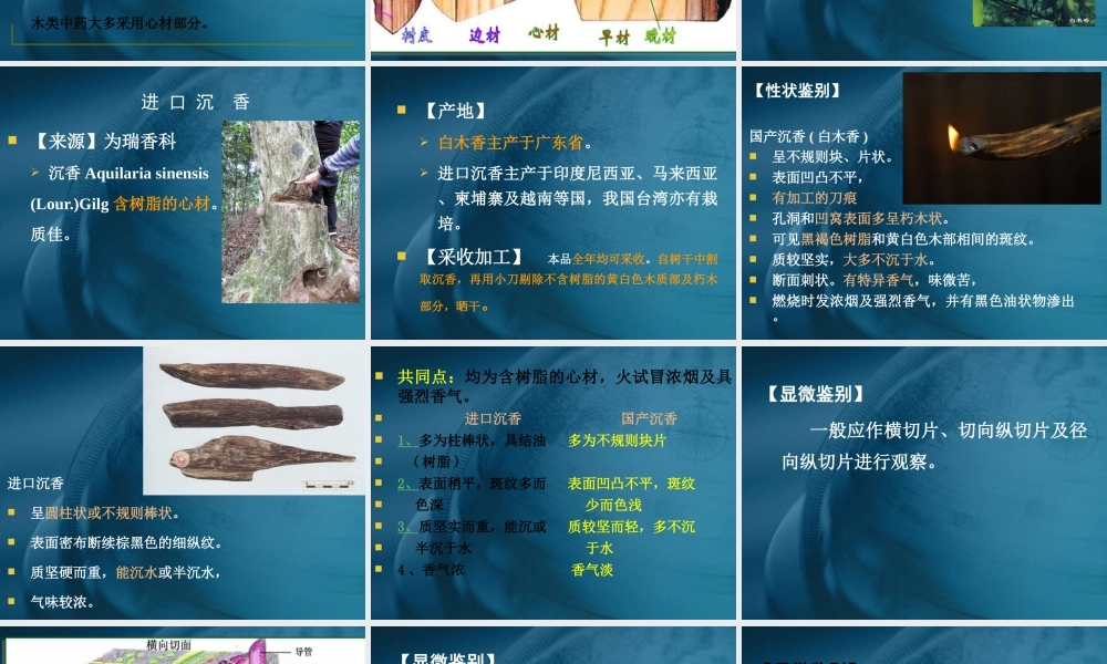 药用植物学与生药学-24瑞香科、桃金娘科资料.ppt