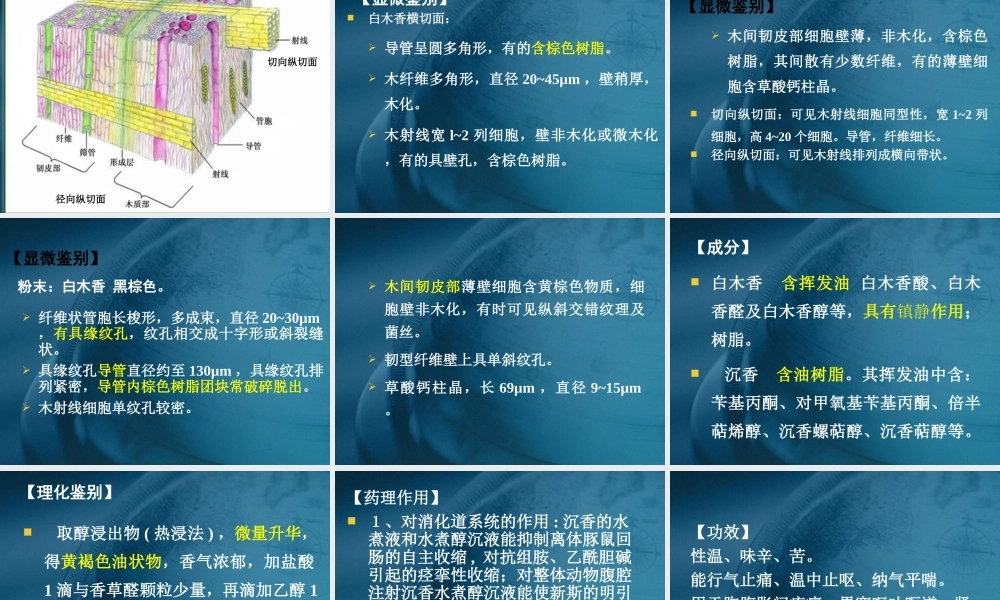 药用植物学与生药学-24瑞香科、桃金娘科资料.ppt