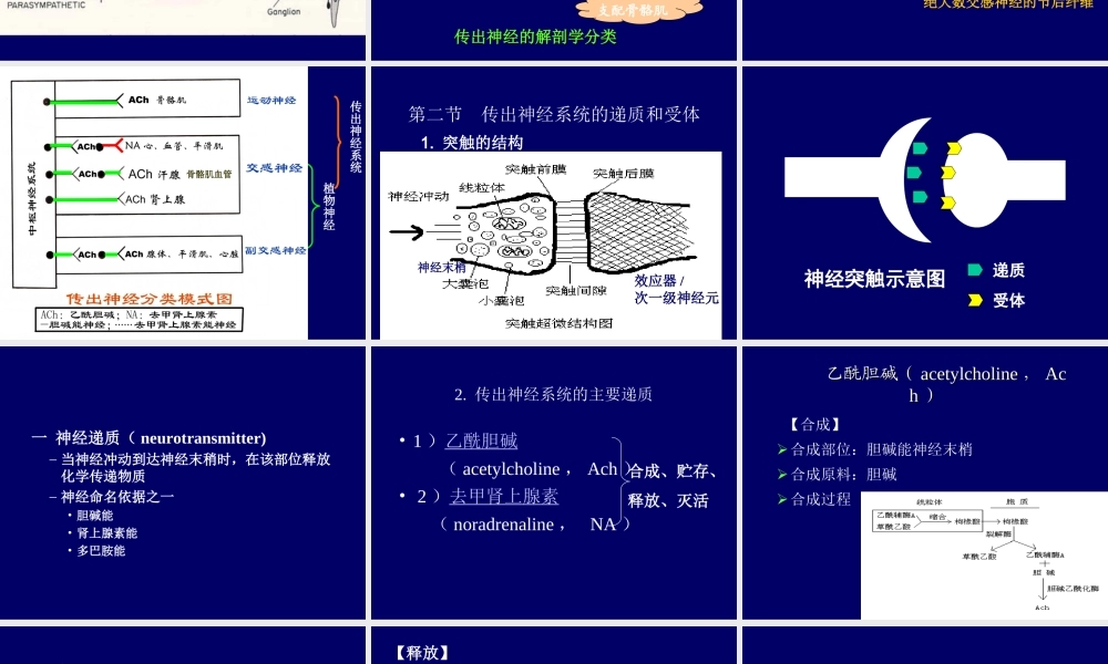 药理-5传出概论.ppt
