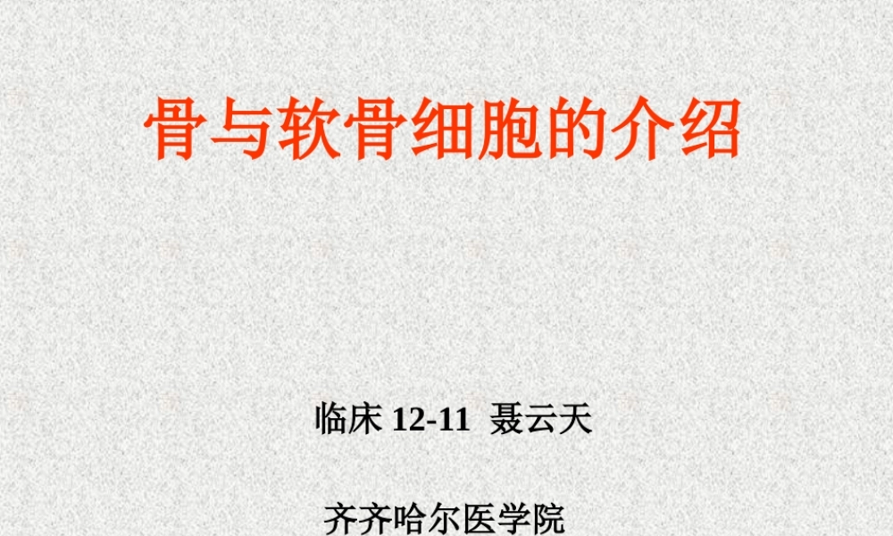 软骨和骨的介绍.ppt