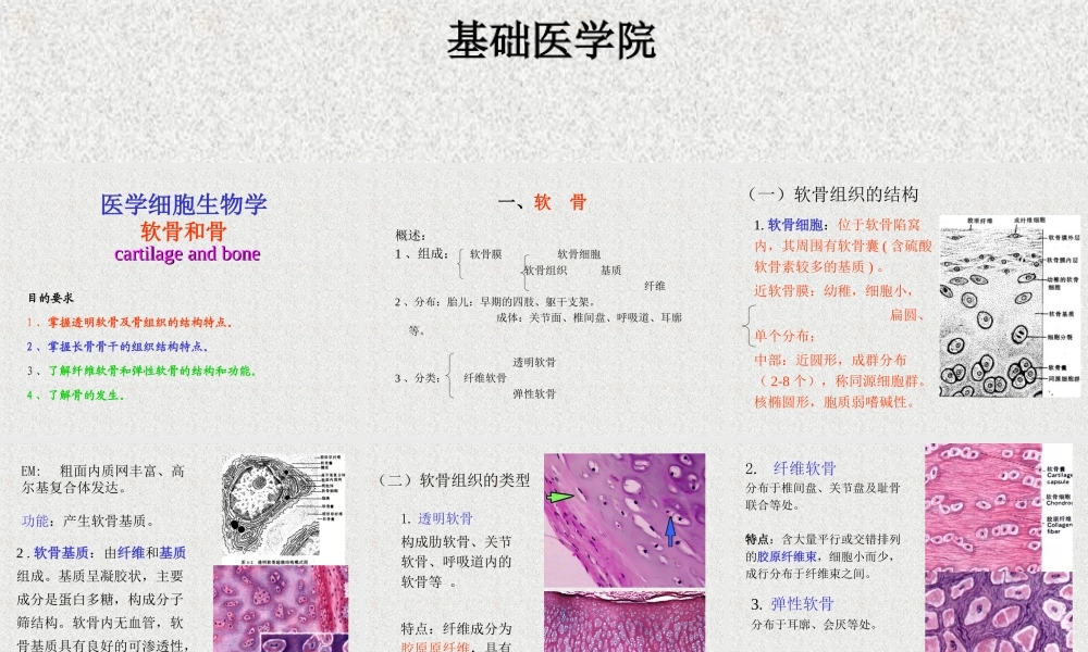 软骨和骨的介绍.ppt