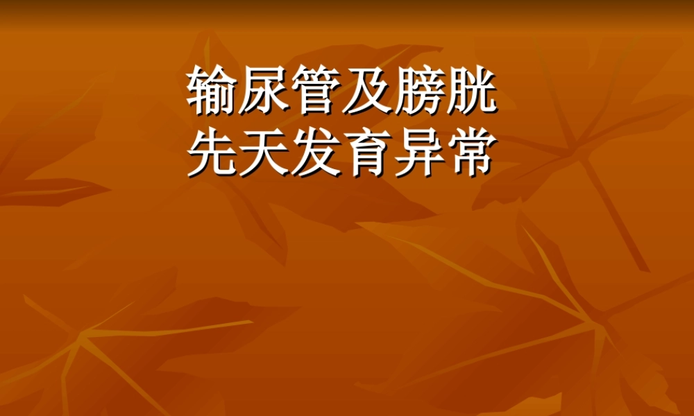 输尿管及膀胱先天异常.ppt