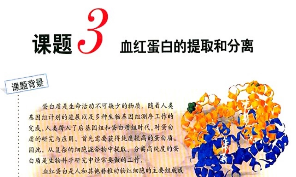 血红蛋白的提取和分离(上课用)介绍.ppt