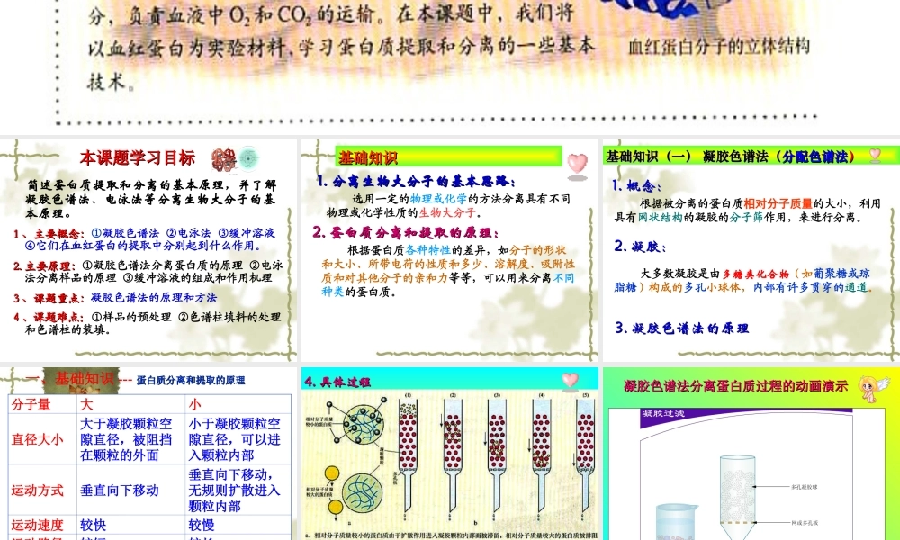 血红蛋白的提取和分离(上课用)介绍.ppt