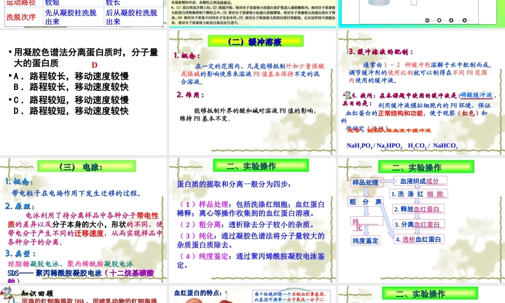 血红蛋白的提取和分离(上课用)介绍.ppt