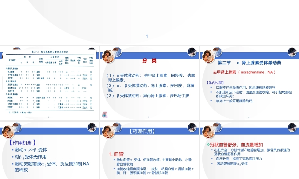 血管活性药..ppt