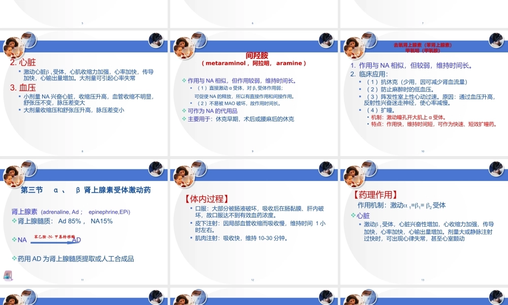 血管活性药..ppt