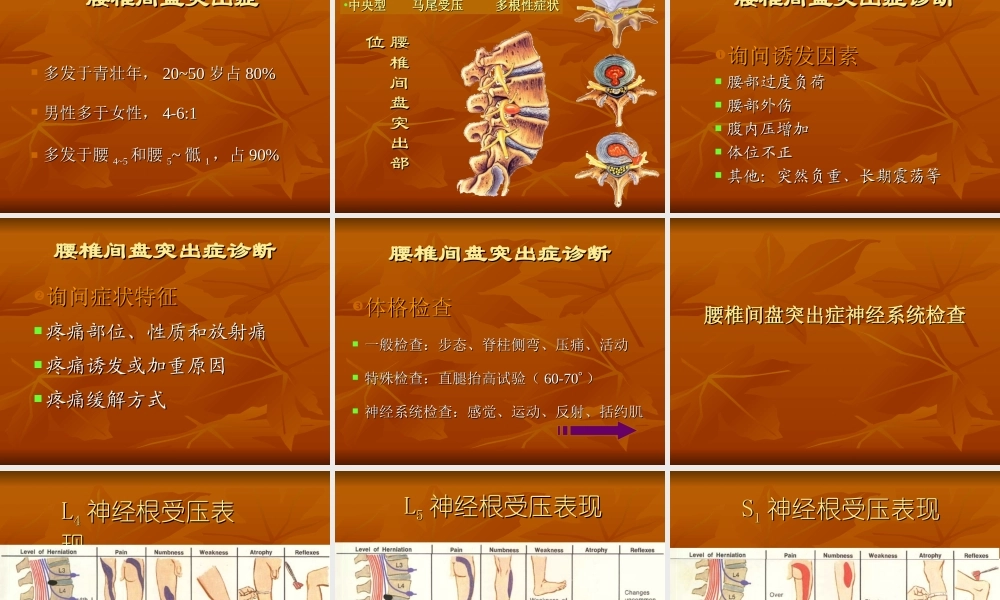 腰腿痛的诊治.ppt